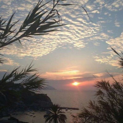 中年人微信头像风景或花草