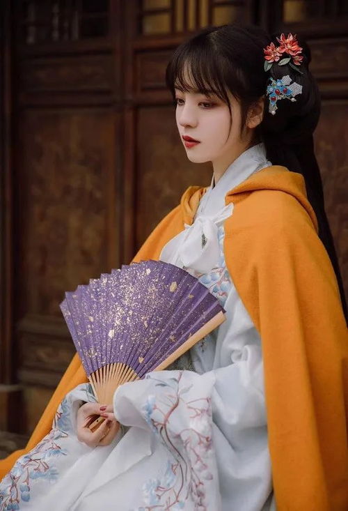人民网点赞00后女孩汉服照火出圈,还原四大名著美人太惊艳了