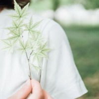 简单干净的微信头像图片微信头像图片大全