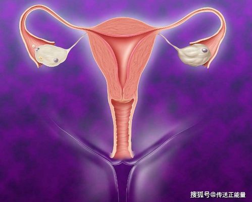 月经三天干净和七天干净的女性,哪种人更容易衰老一些