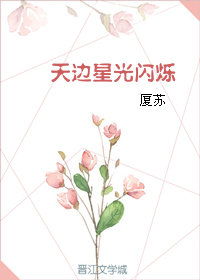 天边星光闪烁厦苏