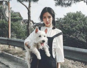 小清新唯美女生个性网名追赶山边的风