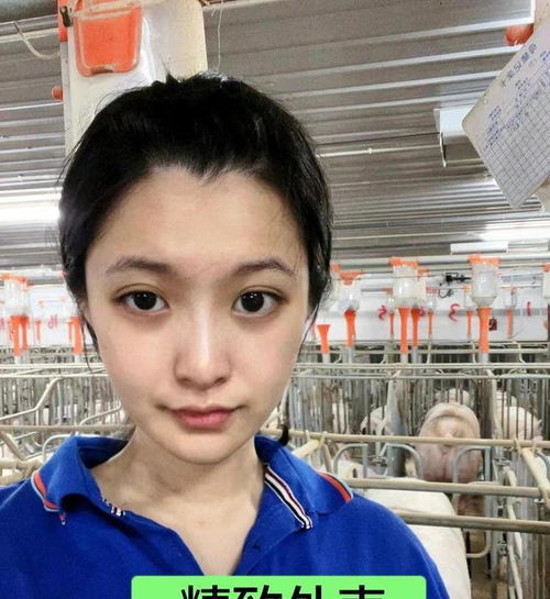 24岁高颜值女生养猪年薪10万学的兽医专业,网友称养久了有猪味