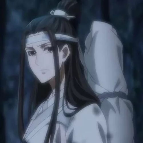 魔道祖师头像含光君蓝忘机