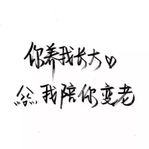 文字头像