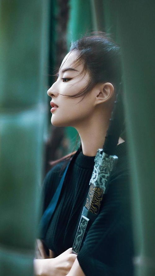 女明星的侧颜照,赵丽颖上榜,而她像是画中走出来的仙子