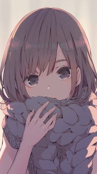 24弹