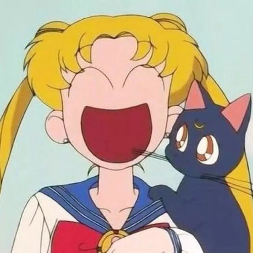 女生和蓝猫的头像王女士