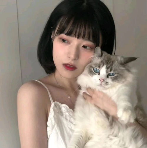 茶里茶气的女生头像