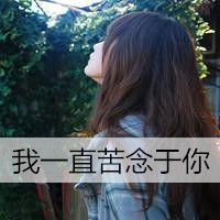 图片带字四叶草微信头像图片大全