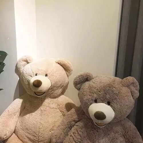 沙雕女孩的憨憨搞笑短句