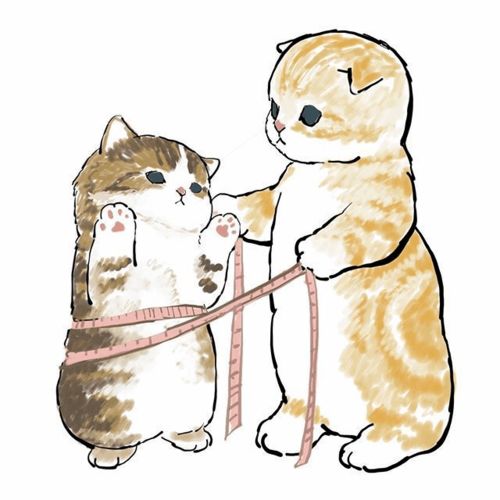 一组小奶猫,太可爱了叭啊啊啊要不要这么可爱呀