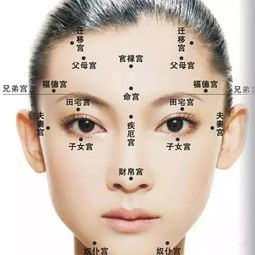 2025女人旺自己的头像面相