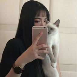 漂亮女生抱萌宠头像大全最新女生抱宠物合照头像可爱好看