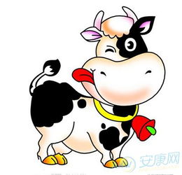 属牛的处女座2016年运势