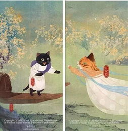 一只猫咪的故事