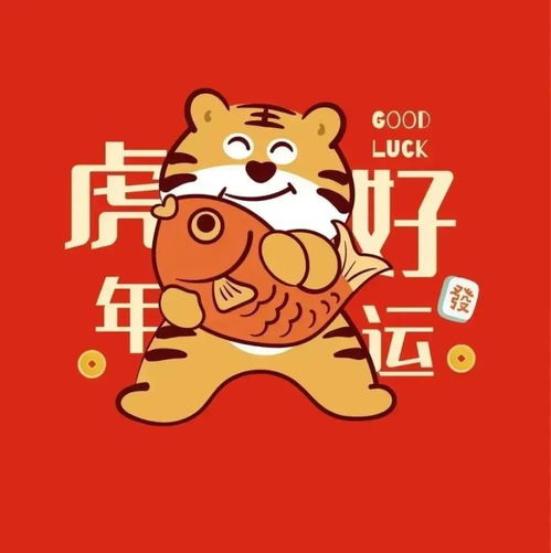 1986年属虎女微信头像考研