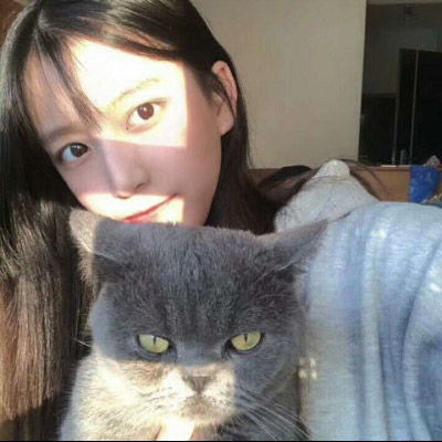 女生抱猫头像高清图片2020女生抱着猫很酷的头像