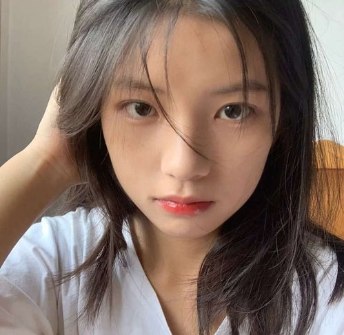 无标题