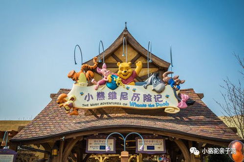 上海夏令营︱走读两所世界名校,探索深海疯玩迪士尼童话王国