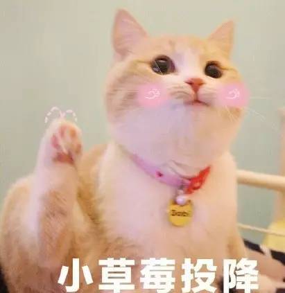 在北京一票难求的相声新势力10月27日即将笑傲大连