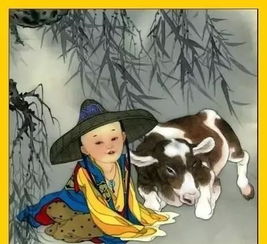 生肖与八卦,寻找自己的本命位