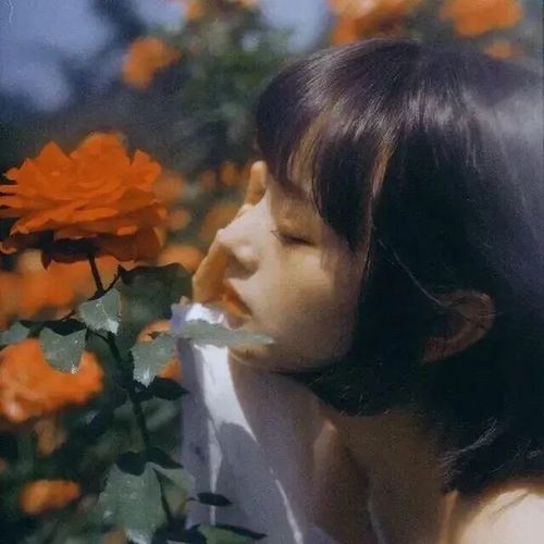温柔告白的句子