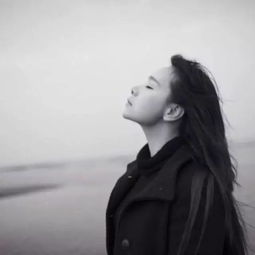 这是一篇不需要阅读量的推文,你要看看吗搜狐社会搜狐网
