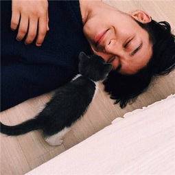 2018最新版qq头像男生帅气抱猫咪大全男生猫咪萌头像