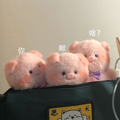 搞笑女专用沙雕文案