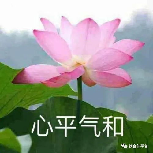 无中生有谁动了年轻人的养老生活