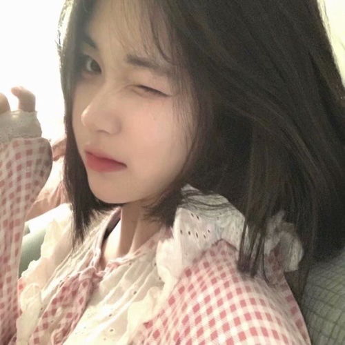 女头像是猫说明单身单身女人