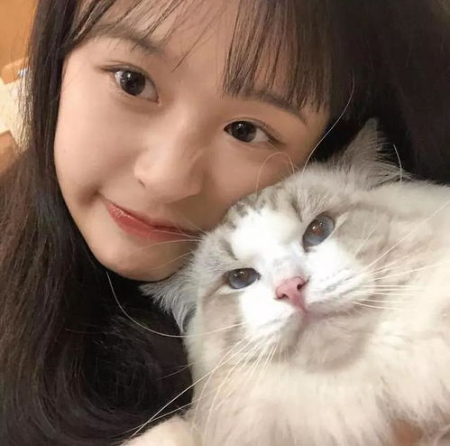 骑上我的小摩托,带你去看日不落