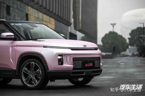 你想把生活过成限量版吗来,ms.icon宠粉计划了解下