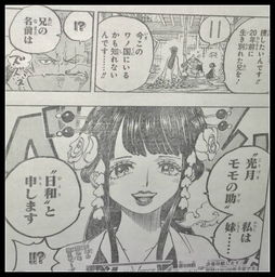 海贼王938话官方情报图神秘女子真的是光月日和,山治要死了