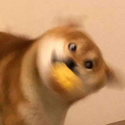 沙雕系个性微信头像
