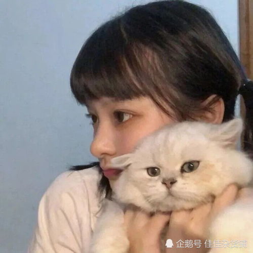 仙气女头,浪漫文案