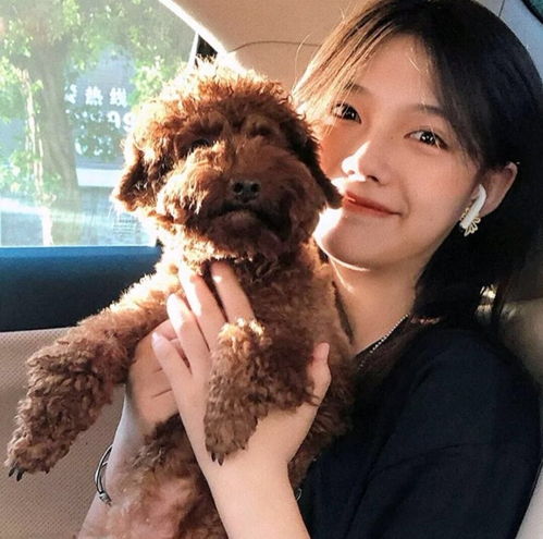 小众女生头像高级可爱