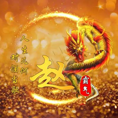 姓氏头像霸气龙头版对酒当歌人生几何