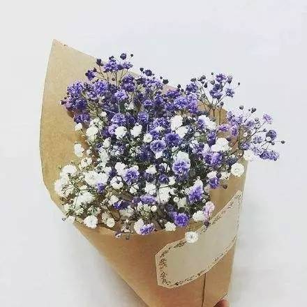 千言万语在心头,这次我要你手捧鲜花听我说