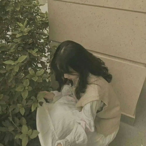 无标题