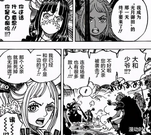 草帽团再收一位美女新老和之国意志加入,路飞果然是王之气质