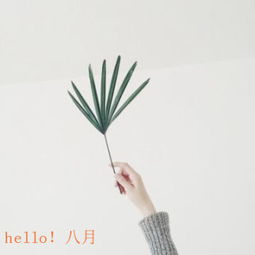 给自己财运的微信头像女人微信招财吉利图片