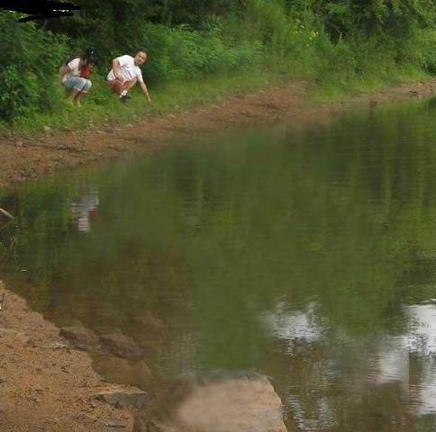 水边风景头像