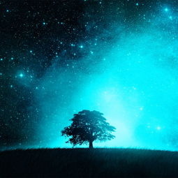 幻空