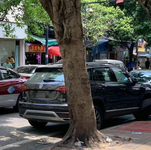 大众探岳上个马路牙子短轴了,车主刚提不久,网友说不过去吧