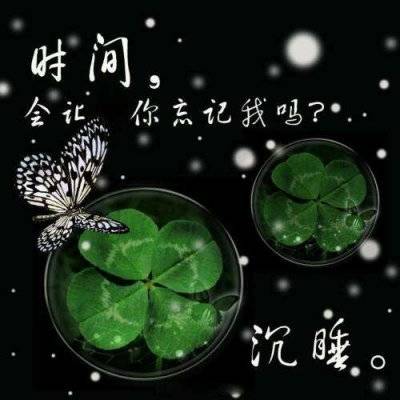 幸运四叶草图片大全吉利的四叶草微信头像唯美