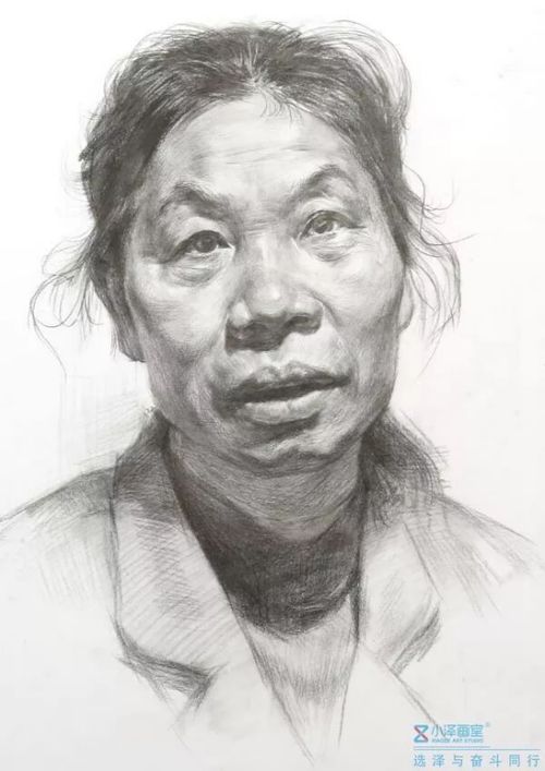 美术联考必备北京小泽画室素描头像系列之女老年正面步骤全解析