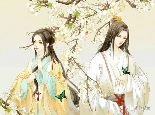 我们的文化,被很多自己人遗弃,却是由别人在发扬光大