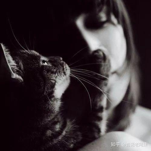 穷人,有人说你是坏蛋